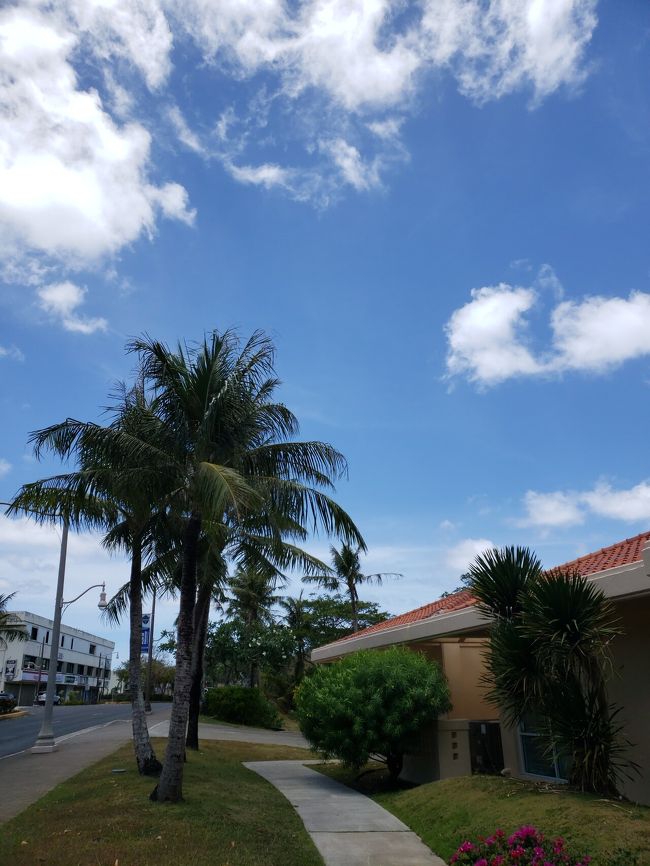 2019.4.6~4.9<br />育休が終える前に、行っておこうと思い立ち、せっせと準備。<br />ユナイテッド航空で、足元広めなエコノミープラスの航空券をゲット。<br />ホテルは、最後まで迷いながらも、<br />3泊4日で、産後久々に海外へ。<br />家族が増えて(^ー^)<br />娘の初海外は、近場のグアムにしました。<br />11か月の娘を連れて~子連れグアム旅行です。<br />ホテルは迷った結果、子連れのため立地が良くて新しいディシュタニにしました。<br /><br />今まで、旦那と二人きりでの海外旅行は自分の荷物だけを準備すればよかったのだけど。<br />子供を連れていくとなると、自分の準備は二の次で、とにかく子供の準備を万端にしました。<br />オムツ、おしりふき、着替え、水着、水遊びオムツ、離乳食、お菓子、お気に入りのパン、麦茶、赤ちゃん用石鹸、常備薬、体温計、おもちゃなど。<br />完全母乳のため、ミルクは持参なし。<br /><br />ディシュタニには、事前にメールで連絡。ベッドガード装着依頼と、部屋に電子レンジの設置を依頼。<br />電子レンジ設置は、三日間で日本円にすると3000円ほど。<br /><br />ユナイテッド航空は、あいにくバシネットはないようで、まぁ三時間だし。お膝でがまん。<br /><br />そんなこんなで、過去旅行投稿となりますが、投稿します。<br />