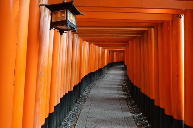 平日の2泊3日で巡る京都の旅。初日は伏見稲荷大社と宇治平等院を訪ねます。
