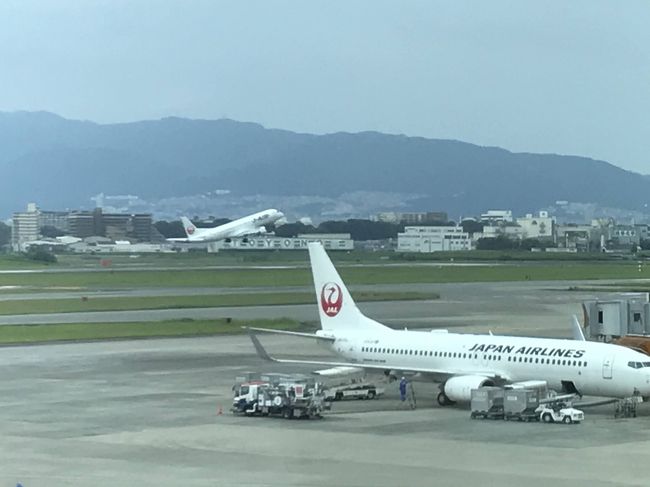 なにかと自粛を迫られたこの夏でしたが、運よく出張で首都圏に向かう機会に恵まれました!<br />とはいえ、日中はお仕事があるので、基本的には忙しい…<br />でも新しい土地に来てみたからには、その場所のことを知ったり新しいものに触れてみたい!<br />というわけで、仕事終わりにリフレッシュを兼ねて、宿の近くをのんびり散歩してみました。