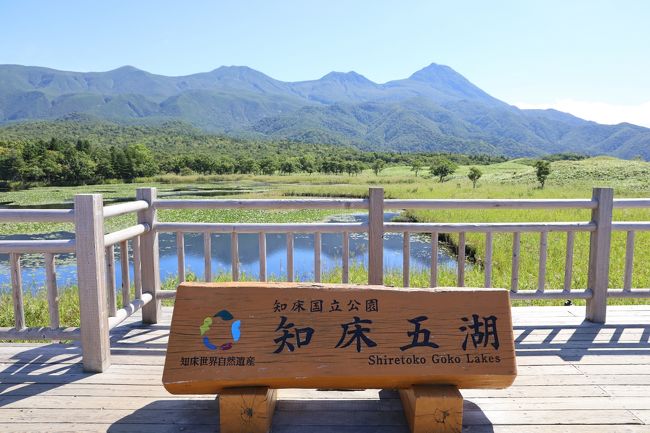 今年2度目の北海道は1年ぶりに道東へ出かけました。予約時には Go toがまだ企画段階でしたが、いざ適用されるとお得感満載。大好きな温泉や写真撮影を堪能してきました