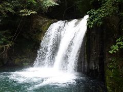 浄蓮の滝～河津七滝