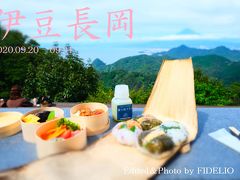 伊豆長岡温泉のおすすめ観光スポット クチコミ人気ランキングtop フォートラベル 静岡県