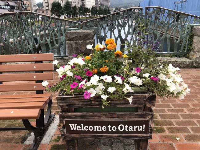 祝GoToトラベル東京追加!!(((o(*゚▽゚*)o)))♡<br />待ってました、この時を!<br /><br />最初の土日は予定があり、旅行の計画は無理だったので翌週の10/10~10/11に早速3年ぶりの北海道へ行ってまいりました。<br /><br />急な予定だったので母でも誘おうかと思っていたのですが、職場の人が人生で1度も飛行機に乗ったことなく、もちろん北海道にも行ったことないとのことで、せっかくの機会だし!とお誘いしました。<br /><br />ツアーはJALパック利用、1人23100円。<br />これに地域共通クーポンが11000円(1人5500円分)もらえるので、ホテル(朝食込み)往復航空券付きで実質18000円を切りました。。<br /><br />10/10(土) JAL513 HND11:35→CTS13:05<br />10/11(日)JAL518 CTS16:45→HND18:25