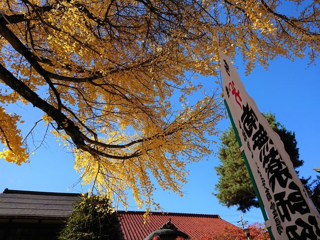 今回の旅は、飛騨高山。<br />ここで、特に気になったのは、さるぼぼという、ぬいぐるみというか、人形というか。<br />とにかく、どこへ行っても目について…。<br /><br />猿の赤ちゃんという意味で、猿という字は、えん、とも読め、えんは縁で、良いご縁がある、さるは去るで災いが去る…<br />そんな意味もあるらしく、人気のさるぼぼです。<br />似た形で、&quot;這う子（ほうこ）&quot;なら知ってましたが、さるぼぼはよく知らなくて。<br />トラベラー仲間の、りちおさんの旅行記ではっきり認識、飛騨に行ったら見てみようと思っていました。<br /><br />でも、特に好みでもないし、ウチにはふなっしーをはじめ、たくさんの先住者が居るので、これ以上は増やせない。<br />何匹も見ていると段々欲しくなってくる可能性はあれど、1匹も持ち帰らないぞ！と誓いを立てて現地入りしました。<br /><br />さるぼぼとの攻防戦、結果は如何に！？