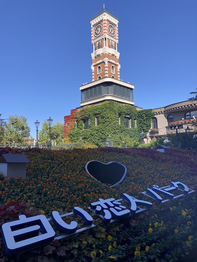祝GoToトラベル東京追加!!(((o(*゚▽゚*)o)))♡<br />待ってました、この時を!<br /><br />最初の土日は予定があり、旅行の計画は無理だったので翌週の10/10~10/11に早速3年ぶりの北海道へ行ってまいりました。<br /><br />急な予定だったので母でも誘おうかと思っていたのですが、職場の人が人生で1度も飛行機に乗ったことなく、もちろん北海道にも行ったことないとのことで、せっかくの機会だし!とお誘いしました。<br /><br />ツアーはJALパック利用、1人23100円。<br />これに地域共通クーポンが11000円(1人5500円分)もらえるので、ホテル(朝食込み)往復航空券付きで実質18000円を切りました。。<br /><br />JALパックのgotoについては、1日目の冒頭に詳細を述べています→https://4travel.jp/travelogue/11652445<br /><br /><br />10/10(土) JAL513 HND11:35→CTS13:05<br />10/11(日)JAL518 CTS16:45→HND18:25