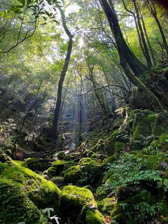 はじめての屋久島ひとり旅 白谷雲水峡 もののけの森 から太鼓岩へトレッキング編 屋久島 鹿児島県 の旅行記 ブログ By Yumirinさん フォートラベル