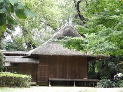 東博の日本庭園－2020年秋