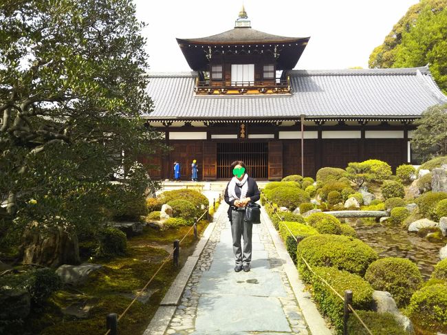 今日は、京都、東福寺の春の新緑を楽しみましょう！思い出です。<br /><br />コロナ禍でこれほど続くとは思わなかった、京都歩き旅が出来ない、皆みんな小旅行が出来ない！<br />ジレンマの中、半年近くたちました、今、秋を、迎えようとしています。GoToしますか？<br />そんな今日この頃……かつてこれ程と色々考えた事があったかな？またこれからは？？？<br />つくづく自由って……素晴らしいことですね！！<br />