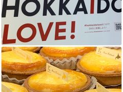 HOKKAIDO LOVE！ 6日間周遊パス　北の大地を駆け抜ける！(後編）