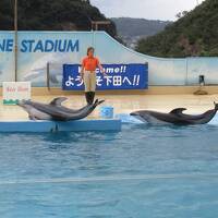 下田で旅行気分を満喫しました