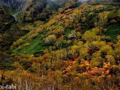 白馬（五竜・栂池・八方尾根） 霧の中の紅葉