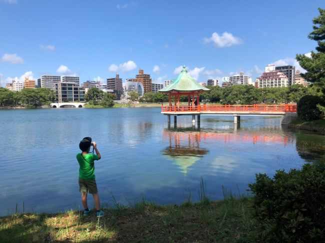 天気が良かったので孫を連れて早良区高取より初秋の大濠公園まで往復歩きました。<br />秋の気配を感じる景色の中、彼岸花、きのこ等を見つけ撮影を孫としてきました。