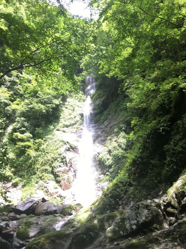 大雨の後だったので橋が流され<br />渡渉したりして、目先が変わったハイキングでした。