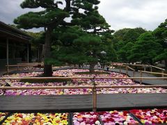 Go to にのって、日本の果てまで行ってやるぅ　2. 松江、出雲大社、日御碕灯台　(島根県)