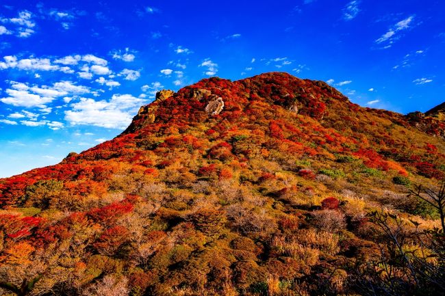 　今年の紅葉は昨年より1週間程度早くなっているようです。<br />　くじゅう連山の山頂が色づき始めたと言うニュースに、昨年より13日も早く星生山へ出掛けました。