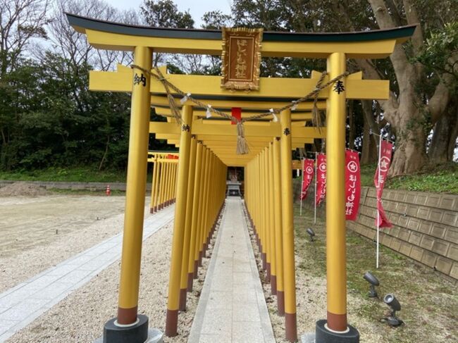 臨時の快速を利用して茨城県那珂湊に行ってきました。<br />美味しいお寿司を堪能して、フォトジェニックなひたち海浜公園のコキアを見てきました。<br /><br />■①JRの臨時列車と私鉄を乗り継いで那珂湊へ<br />臨時快速列車に乗って勝田へ。<br />中ではひたち海浜公園のマップなどをもらいました。<br />乗り継いだひたちなか海浜鉄道とも、レトロな雰囲気の車両でした。<br /><br />■②那珂湊おさかな市場<br />那珂湊駅から歩いておさかな市場へ。<br />お寿司をいただき、お土産にサクのお刺身を買いました。<br /><br />■③ひたち海浜公園のコキアなど<br />私鉄で終点の阿字ヶ浦駅へ。<br />バスでコキアの咲くひたち海浜公園に行きました。<br /><br />■④干し芋神社と地酒博物館<br />変わった神社にお参りしました。<br />また、水戸に移動して酒蔵に併設された地酒博物館に立ち寄りました。