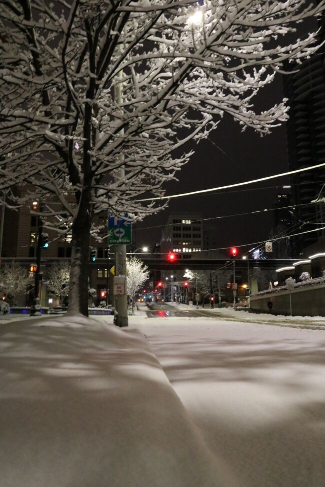 夜中にあまりの大嵐に嫁にLINEをしたんです。<br />大嵐で猛吹雪のシアトルの様子を。<br />「こんなに降るって聞いてないけど！？」。<br />そしたら、「私が住んでた時には一度も降らなかったんだけどなぁ」と。<br />そんなシアトルだからこそ非常事態宣言だったのだけどね♪<br /><br /><br />まだそんな事になる前の日中のお話から。<br />午前中にぶらぶらしてたパイクプレイスから、雪がチラついて来たました。<br />これから、まだシアトルを楽しみたいのにどうしましょ(´-ω-`)ﾝｰ<br />この時はまだ雪が降るって言っても、まぁ南関東でたまに降る程度のlightな感じの雪のつもりでいたもんだから、もちろんシアトル街歩きは続行で♪♪<br /><br />前編にも書いたが、シアトルのここは全米、いや世界的に見ても一流の企業が集う優良な土地柄。<br />誰もが知ってる、アマゾン、コストコ、マイクロソフト、スターバックスコーヒー、エクスペディアなどがシアトルや近郊の街に本社を構えてるのよ♪<br />日本ならバカみたいに東京一極集中のところ、アメリカ人のそんなニューヨーク？ロス？シカゴ？がなんぼのもんじゃいというメンタルは素晴らしいと思います。<br />で、せっかくなら地方の良い土地柄を好むそんな企業の新たな一面を見て来たかったのです♪<br />まずは小腹が減ったので、パイクプレイスの目の前にある行列になってるBeecher&#39;s Handmade Cheeseを覗きました♪♪<br />ここのチーズ屋さんは熱々トロトロチーズを茹でたマカロニにたっぷりかけたmac&amp;cheeseが大人気でして、めちゃ行列に私も並びます♪♪<br />ハフハフしながら食べたmac&amp;cheeseたるや最強！！<br />若干カロリーが気になるがね(笑)<br /><br />ではシアトルが誇るAmazonさんに行ってみるとするか！<br />Amazonはみんなが知ってる通販サイトですけど、ここ本社にはアマゾンスフィアというガラス張りの球体の植物園のような物体がありまして、その外観からして先鋭的なのです♪<br />このスフィアはアマゾン社員のオフィスですが、本社ツアーの公開日（第１・３土曜開催）に参加すれば中に入ることができるんだそう（ともにオンラインによる事前予約が必要）。<br />でも、私…。<br />そんなの知らないで中に入っちゃったよ(笑)<br />なにか違うんだろか？<br /><br />で、アマゾン本社ビルに来たらば、ぜひ支払い無しの完全キャッシュレスの近未来コンビニエンスストア「amazon go」に立ち寄ってみるべし( ・`д・´)ｷﾘｯ<br />ここは、スマホにamazon goのアプリをダウンロードして、顧客の登録をしてQRコード作っておけば、それをゲートでかざすだけで誰でも入ることができます。<br />お一人様向けのグルメデリや調理材料が揃っていて調理するだけのシェフボックスなど、多忙なアマゾニアン向けを意識したような商品からワシントン州のワイン、お土産向けのマグなどまで品揃えも魅力的なのですよ└(ﾟ∀ﾟ└)ﾜｯｼｮｲ<br /><br />その後はちょっと雪があまりに強くなってきたので、一回心が折れてしまいホテルへ戻る。<br />そしてamazon goで買ったサラダボウルを食べてます♪♪<br />窓から様子をチラチラ窺いながら、再度出かけるタイミングを見計らう。<br />ちょっと身体も温まり、空腹も満たされ元気も勇気も回復し、まだ全然降ってるのにホテルを飛び出します、雨具もないのに(笑)<br /><br />ダウンパーカを頭から被り、次に向かうはスペースニードル♪<br />もしかしたら展望台は市街が見える？とか思ったけど、そんな訳もなくあえなく撃沈。<br />だって下からスペースニードルがモヤってるのに、上から見える訳ないよね(笑)<br />まぁこの天候じゃ仕方あるまい。<br /><br /><br />午後のメインは、こっちだからね♪♪<br />SODOまで移動して、メインのスタバ本社にやって来ました。<br />スターバックスは最近、希少価値のある高級コーヒー豆のラインナップを揃えたスターバックス リザーブRを始めました。<br />巨大資本を投じて高級志向の市場拡大を目指す、新しいスターバックスのお店です。<br />ドリンクは一つ一つ丁寧に作られ、食器やサービスも通常のスターバックスよりもアップグレードされています。<br />シアトル本社の1階には、そのリザーブRやリザーブ・バー、イタリアのミラノ発ベーカリー 「プリンチ」、そしてさまざまな商品を販売するマーケットプレースが一体になった「リザーブ・ストア」の1号店がありまして、希少価値の高い少量生産の豆を使った「リザーブ」のさまざまなドリンクはもちろん、焼きたてのパンなどの軽食が味わえる世界で一番高級なスターバックスがここに♪♪<br />↑<br />と、コーヒーを普段飲まない奴が言ってます(笑)<br /><br />でもここで芯から冷えた身体を温めたかったのよ♪<br />ビールは好きでも、コーヒーの苦さは好きじゃないの。<br />でもシアトルなら飲める気がする大雪の昼下がり。<br />そのゆったり過ごすリザーブ店舗で、衝撃の事実を見てしまった(oﾟДﾟﾉ)ﾉｴｴｯ<br />携帯で色々と今は調べられる時代なので、この天気がどうなるのか？を検索しているとなんと、この午後の時点ですでに非常事態宣言が出ていたのです！！<br />不要不急の外出を控えなさい、とこの辺りの知事が宣言発出をしていることが判明。<br />デルタのCAが、「今日は雪が降るみたいですよ、温かくしてお過ごしください」の程度を軽く凌駕しているぞ(笑)<br />早く教えなさいよ(&#39;ε&#39; *)ﾌﾞｰﾌﾞｰ<br /><br /><br />その後はシアトルが誇るスポーツチームであるマリナーズ(メジャーリーグ)とシーホークス(NFL)のホームスタジアムを見に行くも、スタジアムツアーなどはやっておらず(雪だから？)、さらにチームストアも臨時休業でもう限界か？<br />キングストリート駅前の宇和島屋とパイオニアスクエアを、さらっと見た後はさすがの私もホテルへ戻ります(´-ω-`)<br /><br />非常事態宣言下のシアトルは、夕方以降段々と降り積もる雪で銀世界の様相に…。<br />どうも出発前に嫁から聞いてたのとだいぶ違うな(；´ﾟдﾟ)ゞ<br /><br />夜中に心配で何度も窓の外を見るが、大雪の勢いは留まるどころが増すばかり。<br />明日の事が急に心配になってきました。<br />また引き続き、非常事態宣言出てたらどうなんのよーーｵｵﾕｷｷﾀ━(ﾟ∀ﾟ)━!!<br /><br />続く