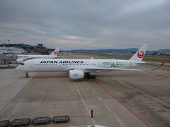 新型コロナなのになぜかいるエバー航空にJALA350-900の3号機編