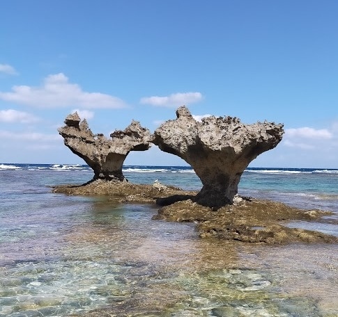 JALどこかにマイルの行先は沖縄。<br /><br />コロナ禍で、お出かけ控えていたから久しぶりの旅行。<br />やっぱり旅行するっていいなと思えた3日間。<br />早く元の日常が戻ってきて欲しいと思えた3日間。<br /><br />思いっきりリフレッシュすることが出来ました。