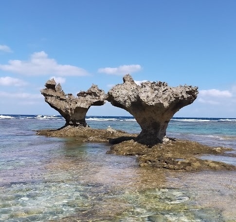 JALどこかにマイルで沖縄へ②　ハートロックと美ら海水族館