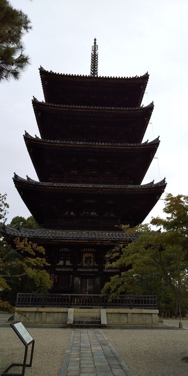 小学生の頃に初めての京都。<br />そして、修学旅行。<br />それから、あと、2~3回くらいきたかな?<br />改めて、京都旅行を楽しみました。<br />1泊2日の短い旅行。どれだけ楽しむことができるかな?<br />写真、仁和寺の五重塔<br />