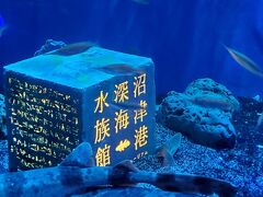 【水族館にいこうシリーズ♪】沼津港深海水族館（2020.10）