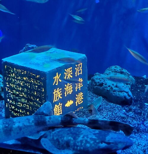 水族館にいこうシリーズ♪】沼津港深海水族館（2020.10）』静岡県の