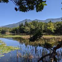 知床五湖と野生熊、幻の寿司屋を訪ねる旅