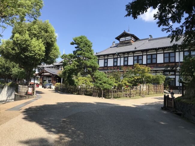 Go To Travelキャンペーンの割引もあり、旅行会社の新幹線グリーン車利用のツアーが格安だったので(往復グリーン車&奈良ホテル宿泊で一人約4万円!しかも連休だったのに)チャンスとばかり妻の念願の奈良ホテル訪問を実現しました。子供は大仏も鹿も初めてで、私もアコルドゥへの再訪問を果たすことができ、いい旅行になりました。