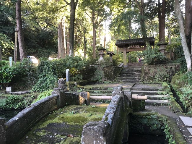 紅葉前の秋の鎌倉を、北鎌倉駅から鎌倉駅まで歩いて回りました。<br />浄智寺の境内をゆっくり。そのあとで、途中にあるお寺を回りながら、鎌倉駅駅へ。<br /><br /> 北鎌倉駅 → 浄智寺 → 長寿寺 → 亀ヶ谷切通 → 岩船地蔵堂<br /> → 相馬師常墓やぐら → 浄光明寺 → 泉の井 → 妙伝寺 <br /> → 寿福寺 → 巽神社 → 鎌倉駅<br /><br />