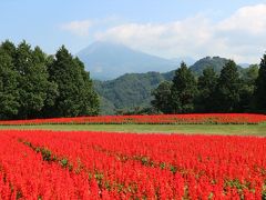 自然・動植物