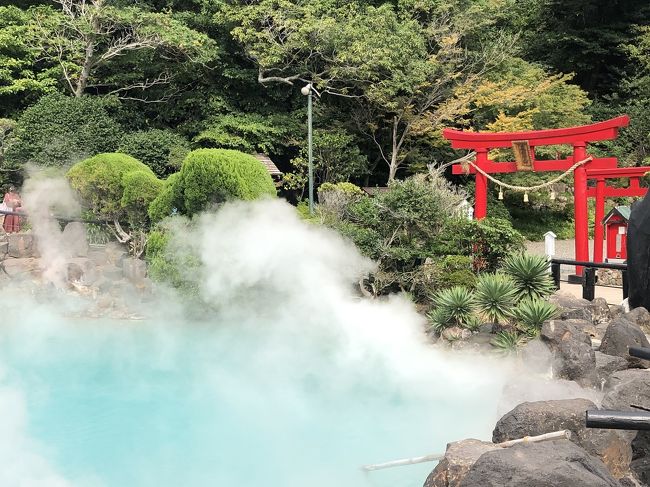 急遽九州へ家族旅行、行って来ました～！今回は旦那様、旦那様の母、私の3人です。<br />もちろんGOTO使いました！10月になって地域共通クーポンも使えたので、お得に旅行出来て大満足♪( ´▽｀)<br /><br />出発が朝早かったので、前日から新大阪のホテルに泊まって準備万端！体調も万全で挑みました。笑<br /><br />楽しかったです♪