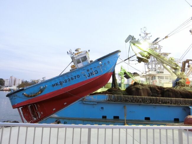 台風余波の低気圧の中<br />うまいこと立ち回りました<br />なにこの船