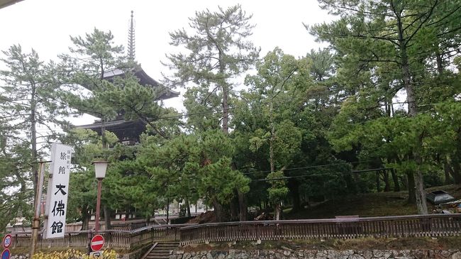 go to トラベル! go to eat !<br />で、今度は奈良です!<br />奈良公園の鹿さんにあいにきました!<br /><br />母と、孫とのぼちぼち旅行です。<br /><br />前回徒歩18分は母と孫にはきついとわかったので、今回はホテル前が五重塔!鹿もいるし、見えます!これでどうだ!?て。感じです。<br /><br />