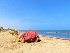 2019年冬：エリトリア紀行　―「紅海の真珠」マッサワのビーチリゾートと、途中下車の旅！―