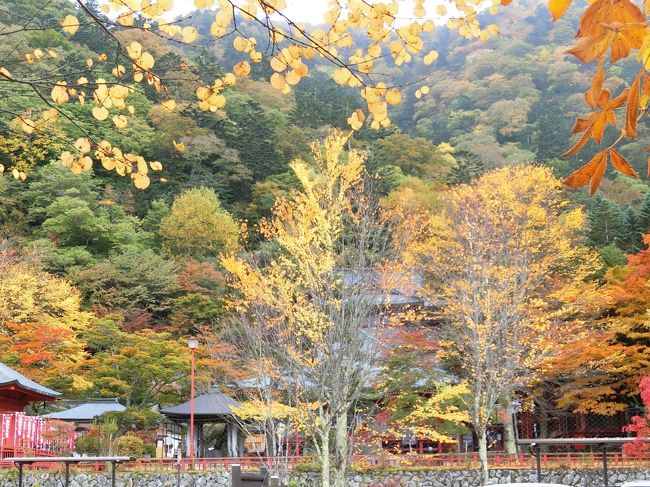 紅葉を見に行きたいけど、いろは坂の渋滞は平日でもハンパないときいて<br />４時起きで半月山に<br /><br />東武鉄道のまるごと日光フリーパスはなかなかのお得感<br /><br />天気は曇りで紅葉もちと早かったけど混雑はなし<br /><br />ヘタレハイクを楽しみ美味しいご飯も食べて満足<br /><br />華厳の滝とかは行ってません。