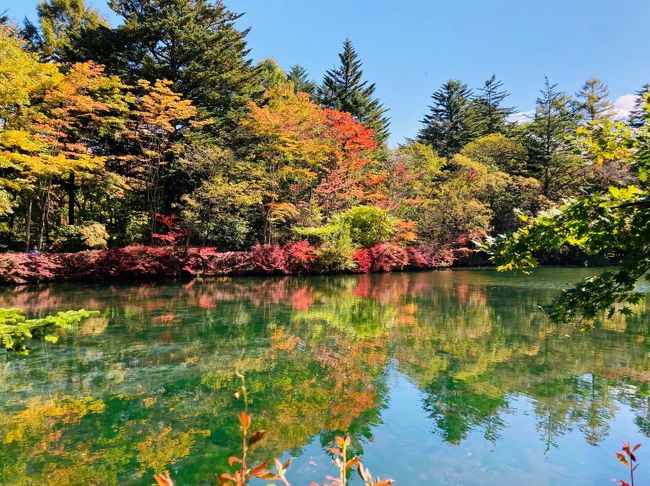 35年ぶりにGotoトラベルを利用して1泊の軽井沢家族旅行に行ってきました。初日は天気も良く紅葉が始まりかけた軽井沢を満喫できましたが、二日目は冷たい雨が一日中降り続き、外歩きをあきらめ、妻娘に付き合っての軽井沢プリンスショッピングプラザでのショッピングとなりました。<br />今回の旅行の予約は、Gotoトラベルキャンペーンを利用して、旅行会社で往復の新幹線と軽井沢プリンスホテルイーストの2食付きをを申し込みました。従い旅行代金3人で約9万円の35%の割引があり、千円の紙クーポン券が13枚いただけました。<br />9月初旬の予約の時は旅行会社の窓口はそんなに混み合っていませんでしたが、クーポン券と列車の切符を取りに出向いた10月初旬には、大変混み合っておりGotoトラベルキャンペーンの利用者が大幅に増加したことが見て取れました。<br />