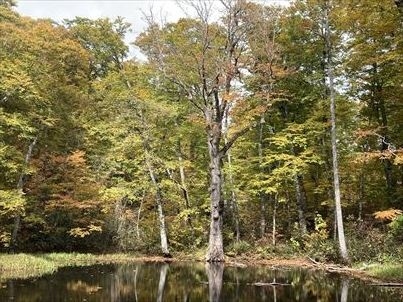 2020年10月　奥裾花自然園で紅葉を楽しみました。