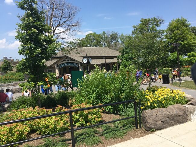 州立公園入口の駐車場は閉まっていたので、外にメーターパーキングしました。入園後になって公園内には数か所駐車場があることがわかり、ゴートアイランド内の駐車場に車を停めなおし、トローリーで園内を移動することにしました。