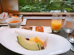 【2020／7】静かな東京・庭のホテル・日本のモンマルトル散策