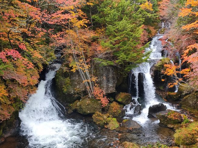 紅葉狩りを予定して休みをとった10月中盤の週末。<br />初日は雨に降られましたが、後は曇り。<br />2日目は少し太陽も出ました。