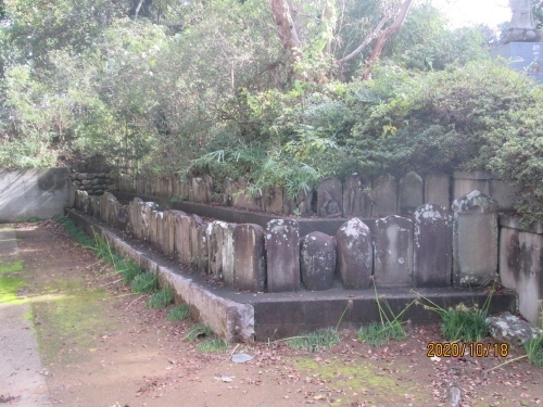 円林寺は愛宕山円林寺金蔵院という天台宗の寺院で、本尊は阿弥陀如来です。隣接する鳥見神社の祭神は饒速日命で、本殿は明治初年の建立です。金山は土地利用は、台地には平地林と畑、低地には水田が広がり、その境目に集落が分散立地する古くからの土地利用とともに、近年、町西部を中心に国道16号線や東武野田線に沿って市街地が形成されています。 また、町南部の鎌ヶ谷市との境には、海上自衛隊下総航空基地があります。<br />参考にさせていただいたブログは下記です。<br />石仏神心　62　北総石仏　旧沼南町の石仏　金山に詳しく書かれています。<br />http://sekibutu.blogspot.com/<br />