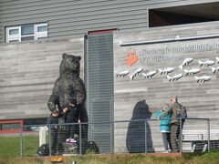 2018* ⑥ホーランドアメリカ　アラスカ～横浜　クルーズ16日間　コディアック島