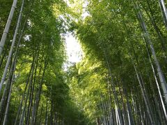 2020秋～ひっそりＧＯＴＯ④京都