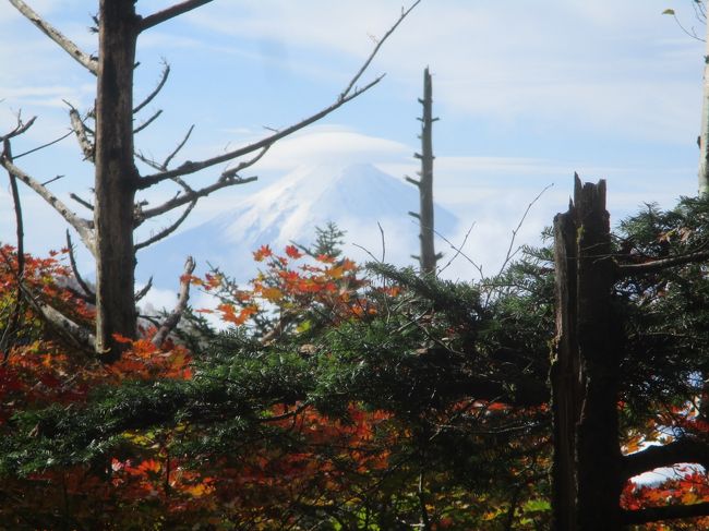 魅惑の紅葉　百名山＜大菩薩嶺＞トレッキング