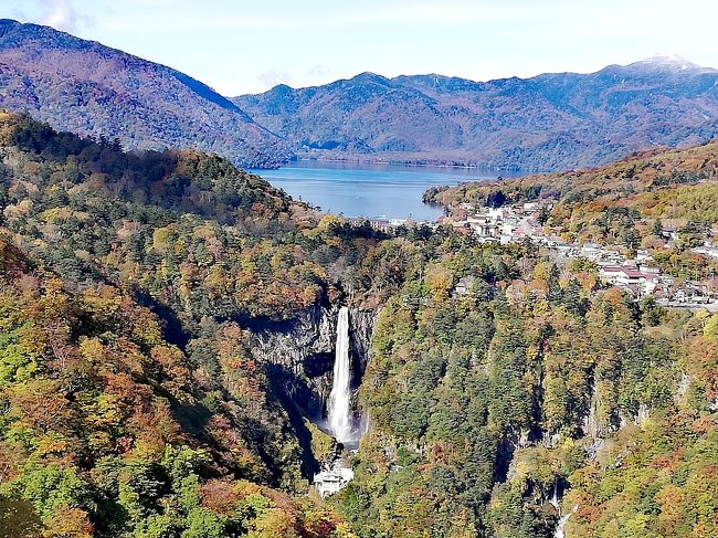 二日目は紅葉真っ盛りの日光へ。<br />早朝から初冠雪の男体山を楽しみ、紅葉で色づき始めたいろは坂、竜頭の滝そして天狗の御朱印で有名な古峯神社へ。