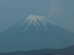 静岡市内を観光に行きました