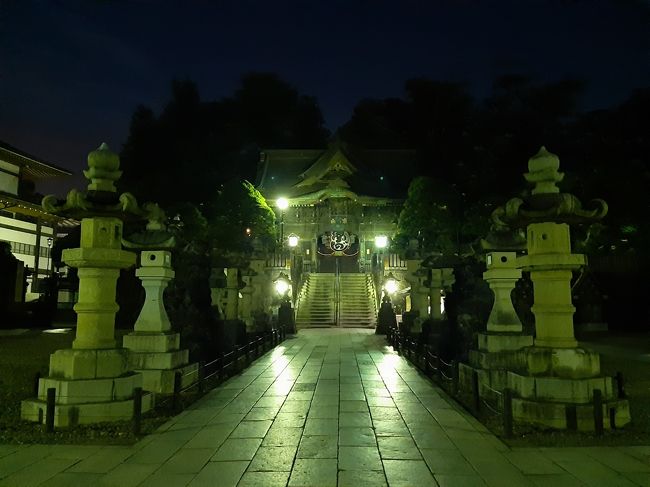 ～出張後ぶらり旅～　夜でも成田山には参拝できるよ！空いてて快適！