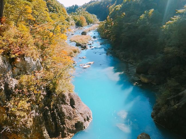 紅葉シーズンのの栗駒山をぐるっとしてきました。見所はなんと言っても須川高原の紅葉、そして須川高原温泉の白濁の酸性泉、道中の磐井川のコバルトブルーの流れを楽しめるでした。全てが映えで、高揚必須です。