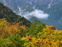 写真好き仲間9人での撮影旅　～アルプス平の紅葉～